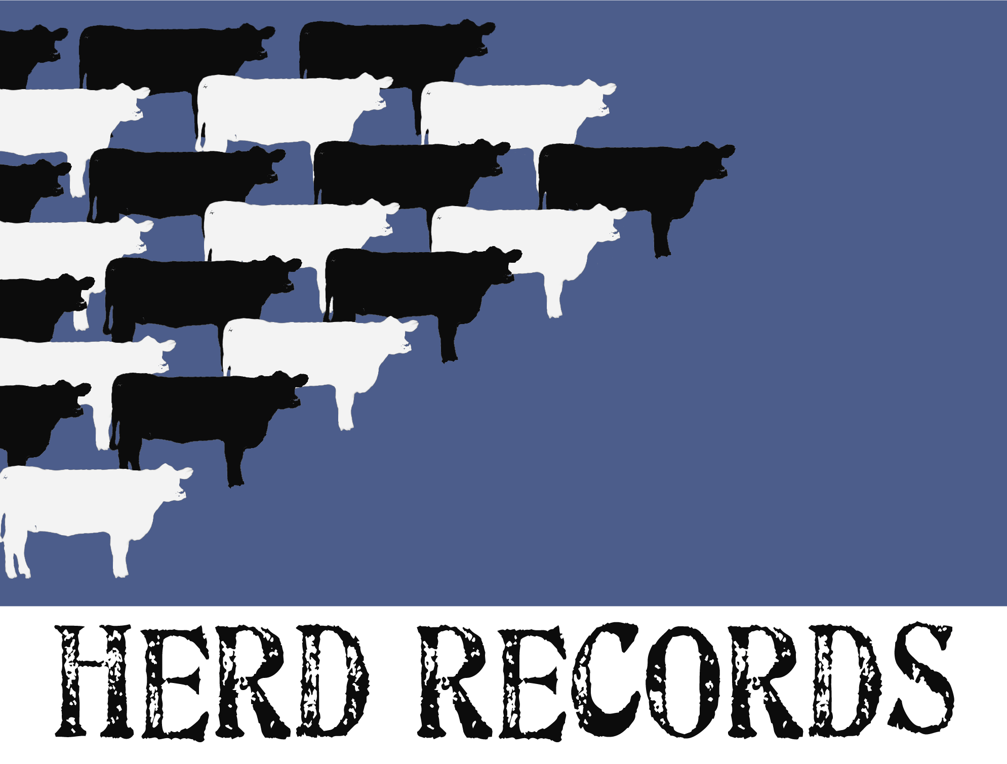 Rejected Logo for Herd Records